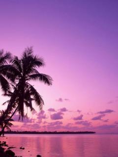 Other Wallpapers 0677